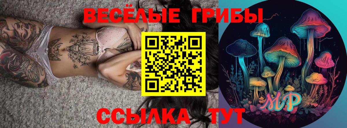 Верхняя Пышма  Галлюциногенные грибы прущие грибы  Вход с VPN  Галлюциногенные грибы GOLDEN TEACHER 